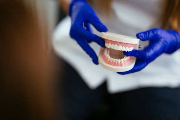 Professional  Holistic Dental Services in China Lake Acres, CA